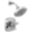 STRYKE 14 Series Shower Only  - T142766-PR
