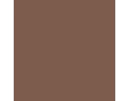 Fairfax Brown SW2856 Paint by Sherwin-Williams - modlar.com