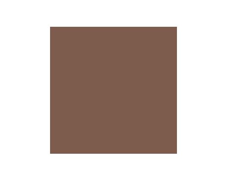 Fairfax Brown SW2856 Paint by Sherwin-Williams - modlar.com
