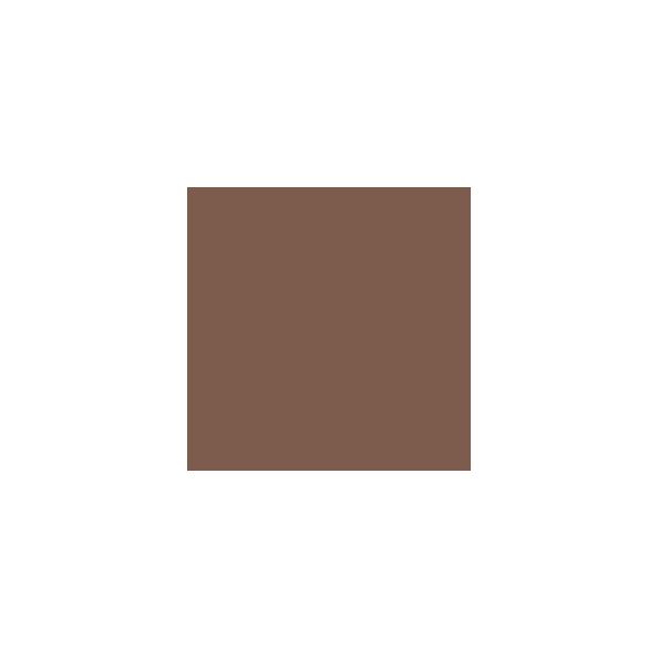 Fairfax Brown SW2856 Paint by Sherwin-Williams - modlar.com