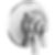 DORVAL Monitor 17 Series Valve Trim Only - T17056