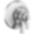 DORVAL TempAssure 17T Series Valve Only Trim - T17T056
