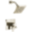 Pivotal Monitor 17 Series H2Okinetic Shower Trim - T17299