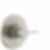 Modern Monitor 14 Series Tub & Shower Trim - T14459-PP