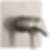 Zura TempAssure 17T Series Valve Only Trim - T17T074