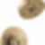 TRINSIC® H2O Shower Trim 1L - T14258