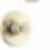 TRINSIC® H2O Tub Shower Trim - T14458