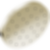 Universal Showering H2Okinetic Single Setting Shower Head With UltraSoak - 52160