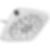 Universal Showering H2Okinetic 4-Setting Shower Head With UltraSoak - 52460