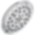 UltraSoak 4-Setting Shower Head - 52487