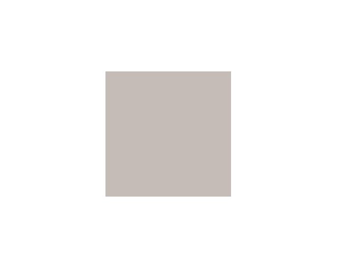 Functional Gray SW7024 Paint by Sherwin-Williams - modlar.com