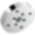 Universal Showering H2Okinetic Single-Setting Raincan Shower Head - RP70175