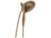 In2ition 5-Setting Two-In-One Shower - 58569-PK