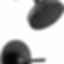 SAYLOR Monitor 14 Series Shower Trim - T14235