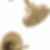 NICOLI® Monitor® 14 Series H2Okinetic® Shower - 142749