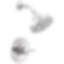 NICOLI® Monitor® 14 Series H2Okinetic® Shower - 142749