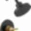 NICOLI® Monitor® 14 Series H2Okinetic® Shower - 142749
