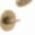 NICOLI®Monitor® 14 Series H2Okinetic® Tub and Shower - 144749
