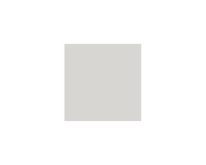 Light French Gray SW0055 Paint by Sherwin-Williams - modlar.com