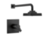ARA TempAssure 17T Series H2Okinetic Shower Trim - T17T267