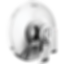 TETRA 17 Series Valve Only Trim - T17089-PR