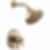 ALTADO™ Monitor 17 Series Shower Trim - T17242