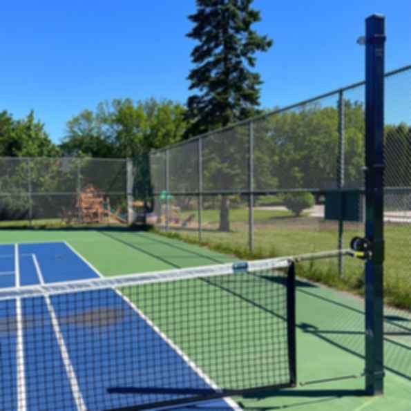 Adjustable Net System