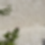 Shellstone Pavers