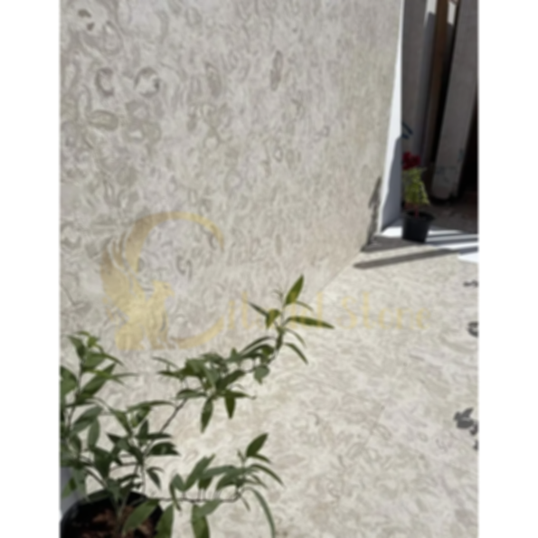 Shellstone Pavers