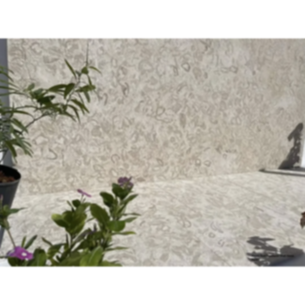 Shellstone Pavers