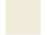 Adobe White: PPG1100-2