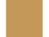 Allspice: PPG1207-6