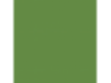 Antique Green: PPG1223-7