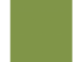 Antique Moss: PPG1222-7