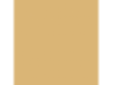 Apollo Gold: PPG16-11