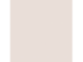 Apricot Cream: PPG1059-1