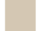 Armadillo: PPG14-17