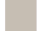 Ashen: PPG1023-3