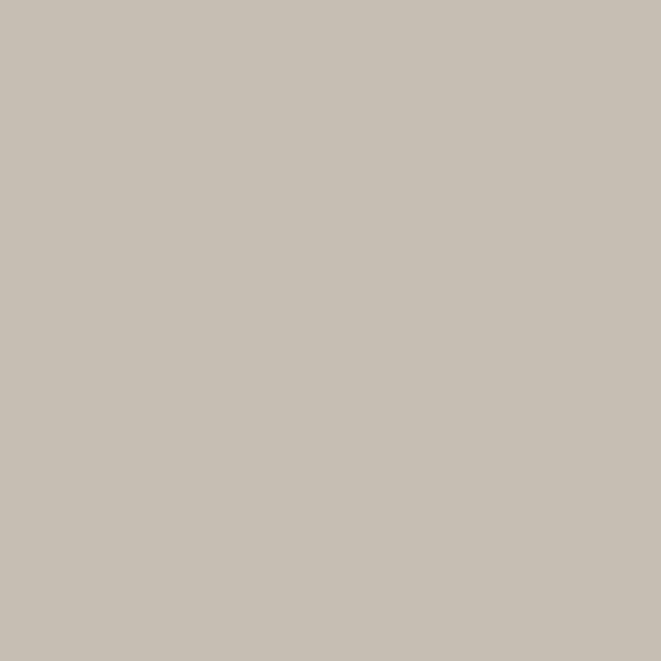 Ashen: PPG1023-3