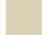 Assateague Sand: PPG12-26