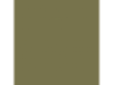 Autumn Fern: PPG1114-7