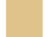 Autumn Glow: PPG1106-3