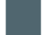 Azalea Leaf: PPG1149-6