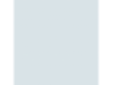 Baby's Breath: PPG1158-1