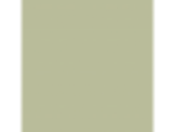 Bahia Grass: PPG1122-4