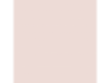Ballet Slipper: PPG1190-2