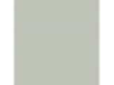 Balsam: PPG1128-4