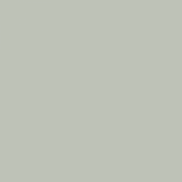 Balsam: PPG1128-4