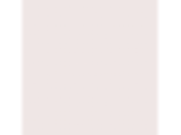 Bare Pink: PPG1050-1