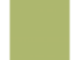 Beach Bag: PPG1117-5